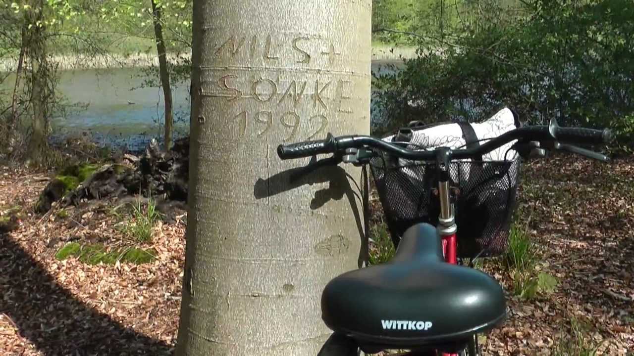 Mit dem Fahrrad von Plön nach Bosau