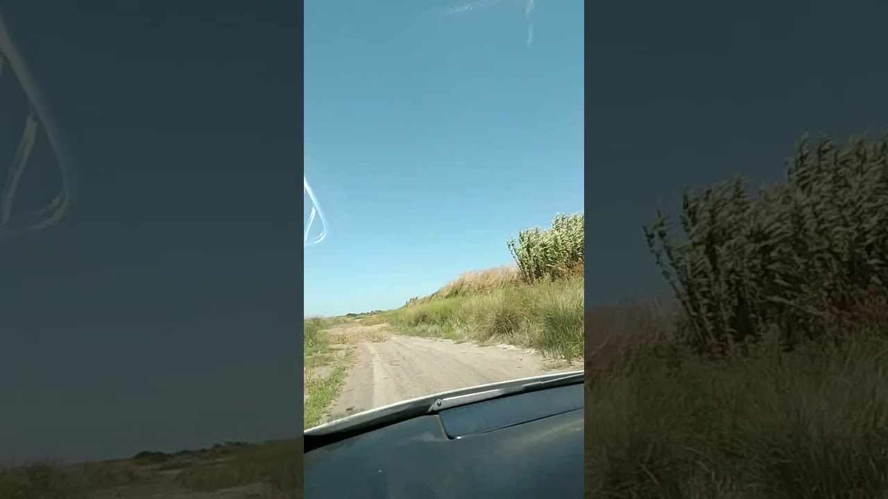 Que me digan lo que quieran yo no renuncio esto me hace feliz 