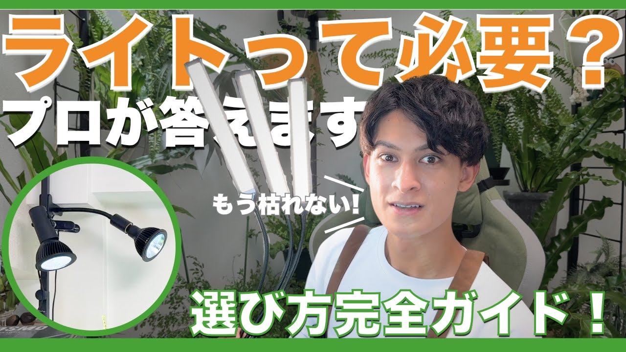 【失敗しない】植物ライトをプロが本音で解説！選び方完全ガイド
