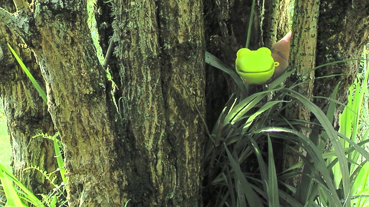 Mariposa Solar::Soy lo que Soy