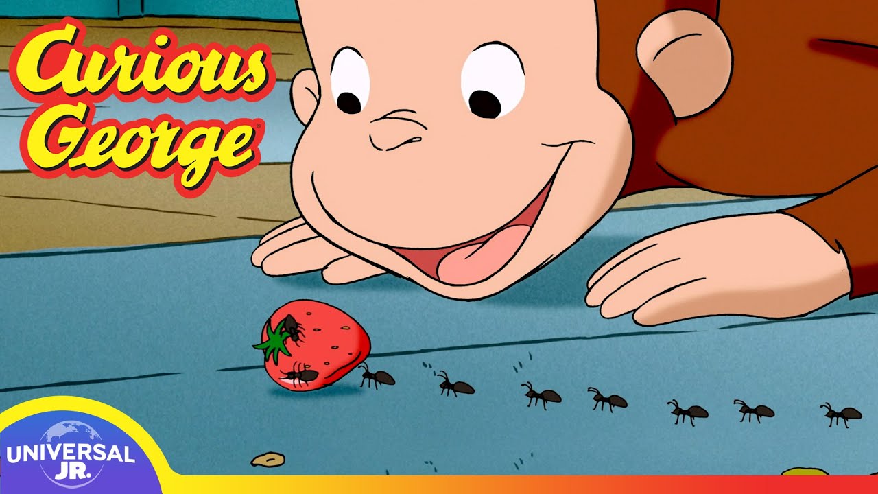 Who Let The Ants In? 🐜🐜🐜 | CURIOUS GEORGE