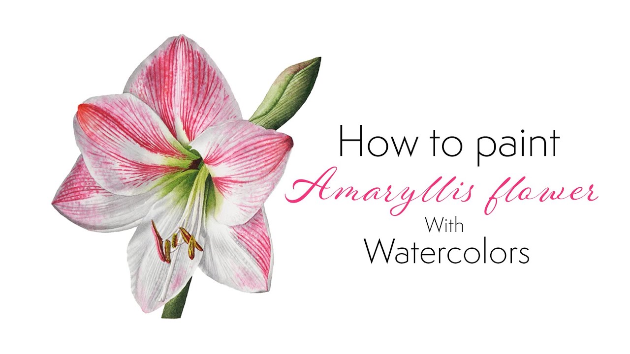 How to paint realistic Amaryllis flower with watercolors 💮Beautiful white flower art