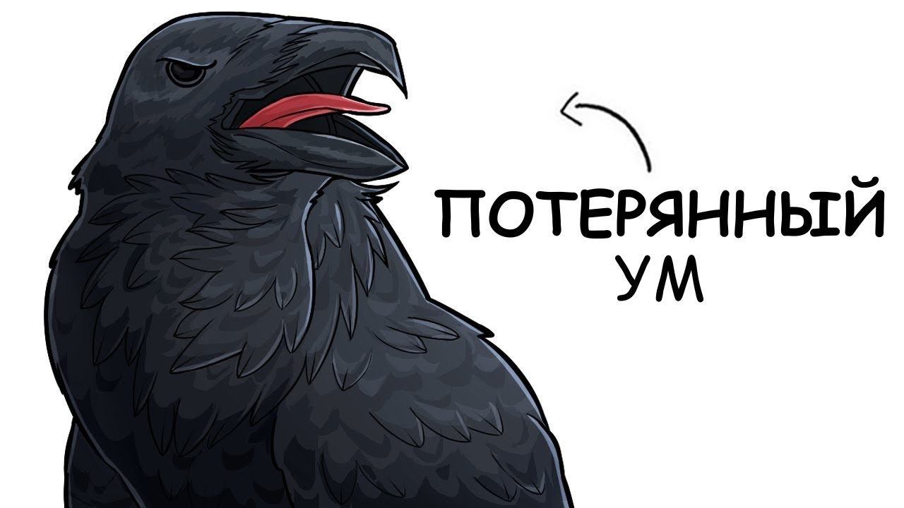 Ты – Ворон (И ЭТО ВСЯ ТВОЯ ЖИЗНЬ)