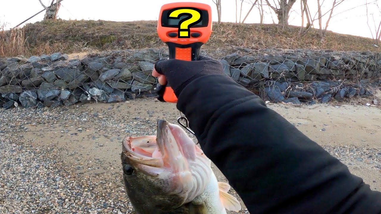 ヘビキャロには夢がある【琵琶湖バス釣り】