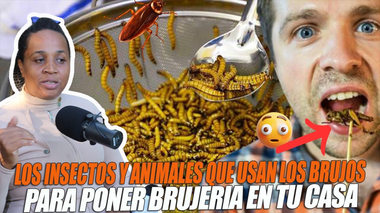 EX-SATANISTA BELEN TORRES -BRUJOS QUE USAN A LOS ANIMALES Y LOS INSECTOS PARA ENVIARTE BRUJERIA