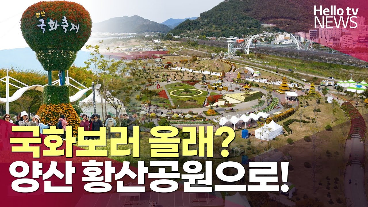6만 5천여 송이 국화의 향연 '양산국화축제'ㅣ#헬로tv뉴스