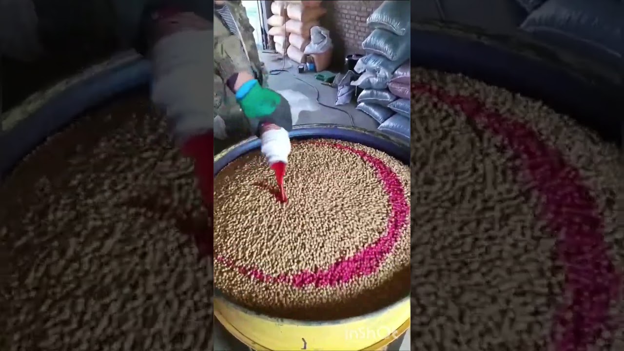 Tratamento de semente para o plantio
