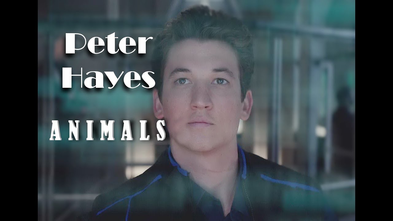Peter Hayes | Animals