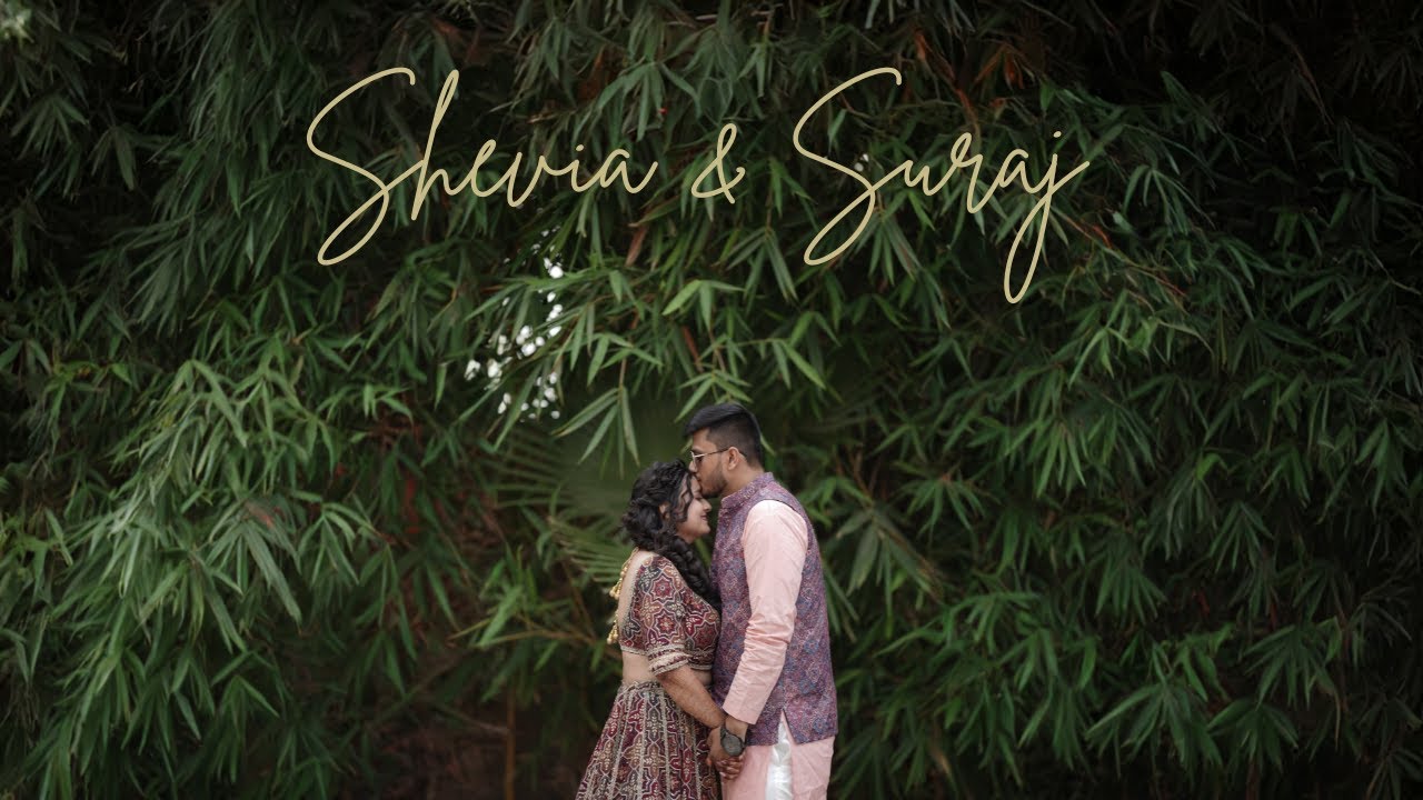 Shevia & Suraj Wedding Film, Best wedding highlights 2024 | Lokesh Taylor | The Karni Palace kota.