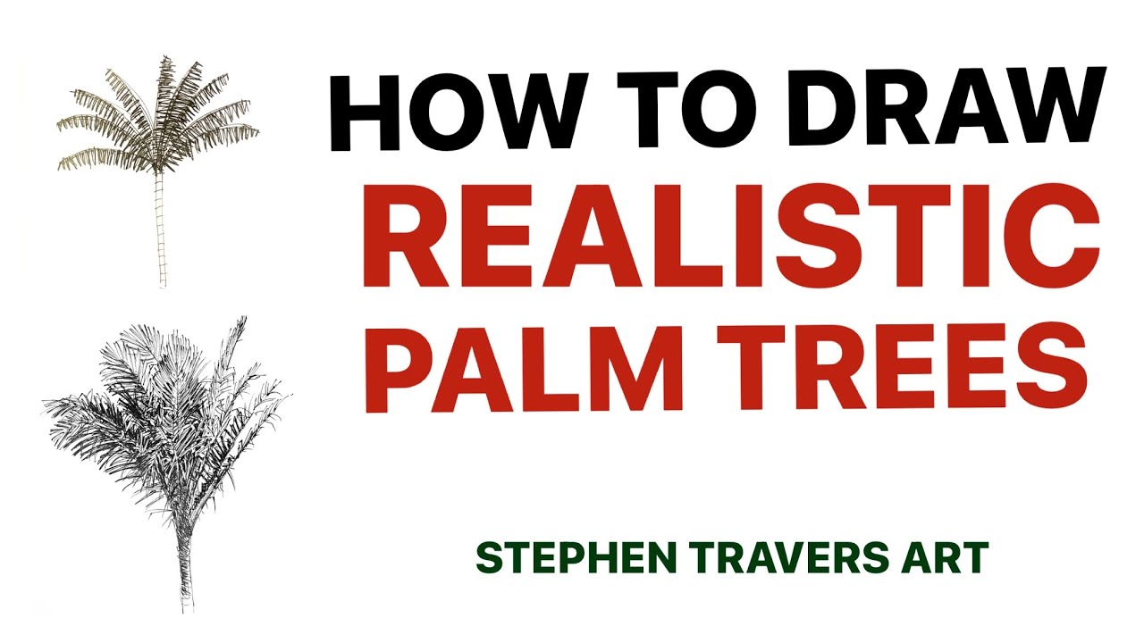 How to Draw Realistic Palm Trees