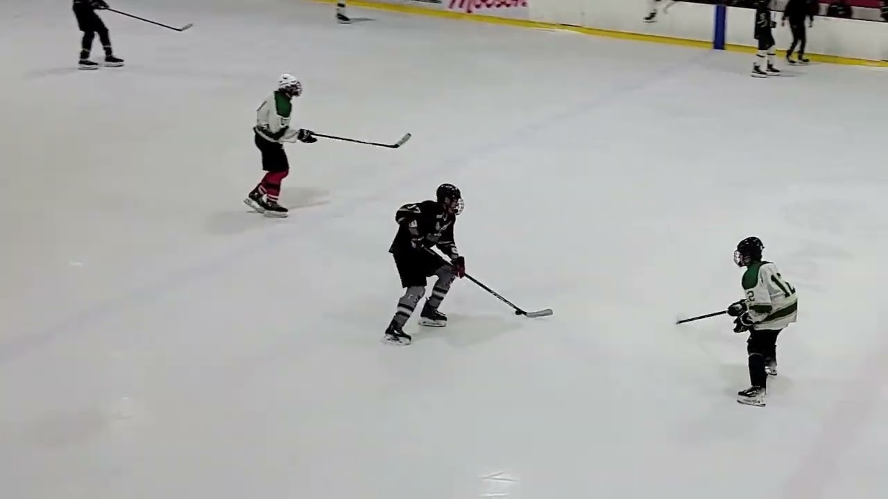 Gabriel Crete: Standout Highlights from QCHL D1 Tryout