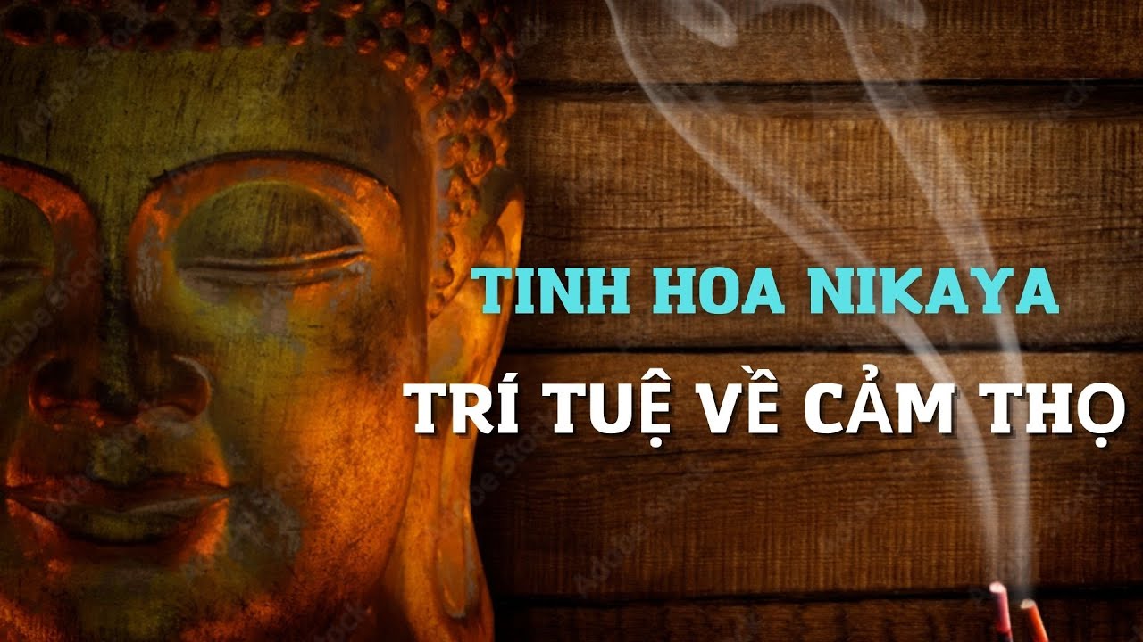 Tinh Hoa NIKAYA - Trí Tuệ Về Cảm Thọ