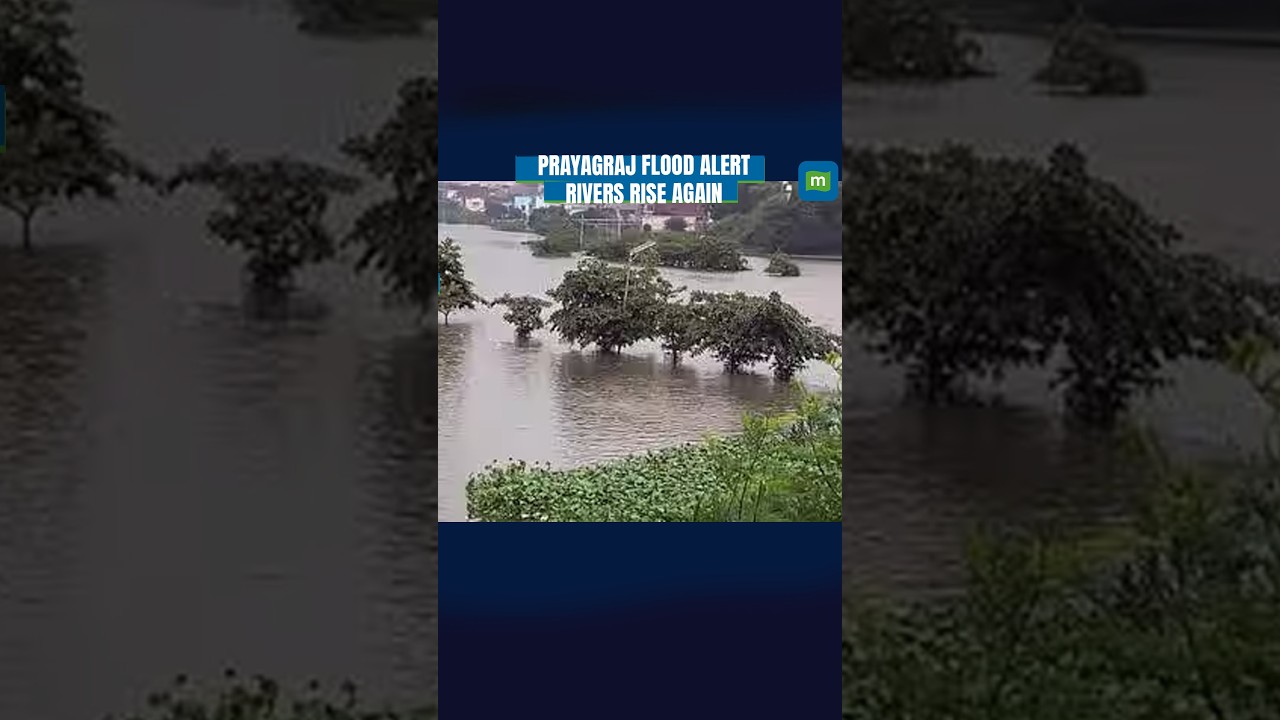 Prayagraj Flood Alert: Rising Ganga, Yamuna Water Levels Inundate Streets
