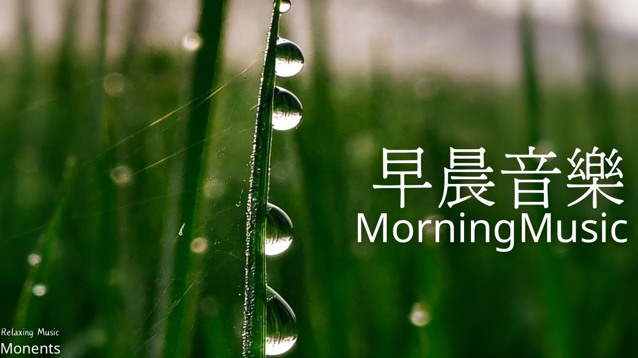 ☀️樹梢上的露水,輕輕唱著早晨的歌曲|早晨音樂|鋼琴輕音樂，柔和的鋼琴音樂｜放鬆音樂 Relaxing Music 1 Hour|Morning Music