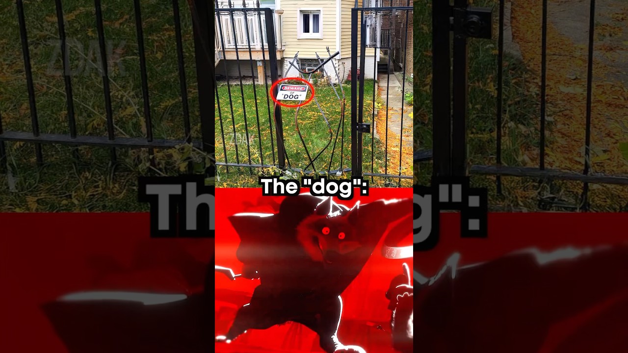 Beware of &ldquo;dog&rdquo; ☠️