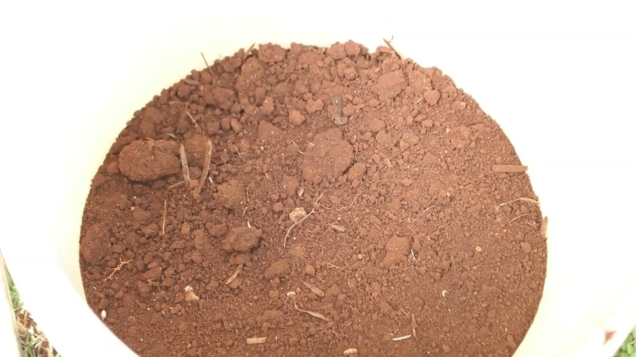 How to effectively sample your soil for testing