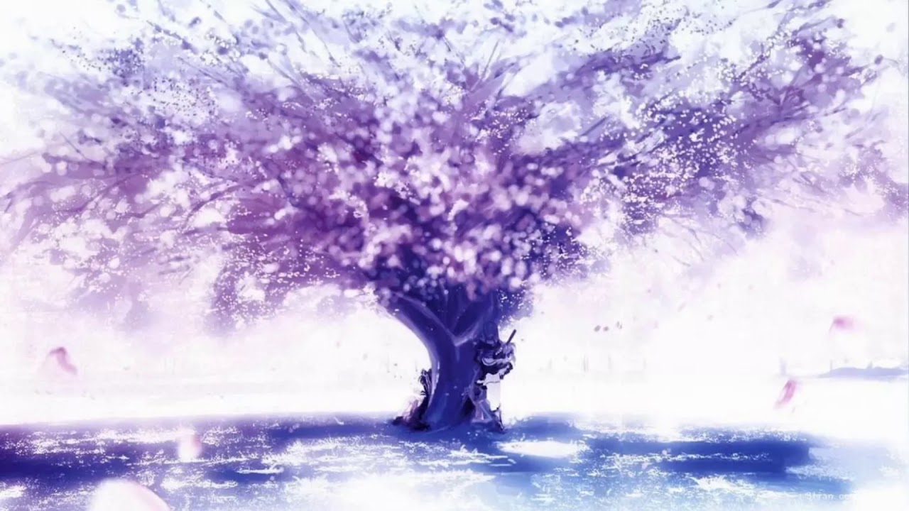 【純音樂】櫻花淚 Sakura Tears
