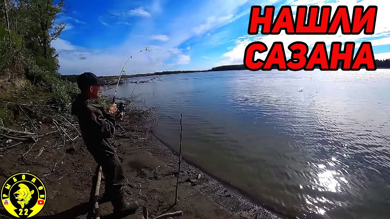 ОБСКОЙ КОРЯЖНИК РАЗДАЁТ САЗАНОВ! Рыбалка на  сазана.