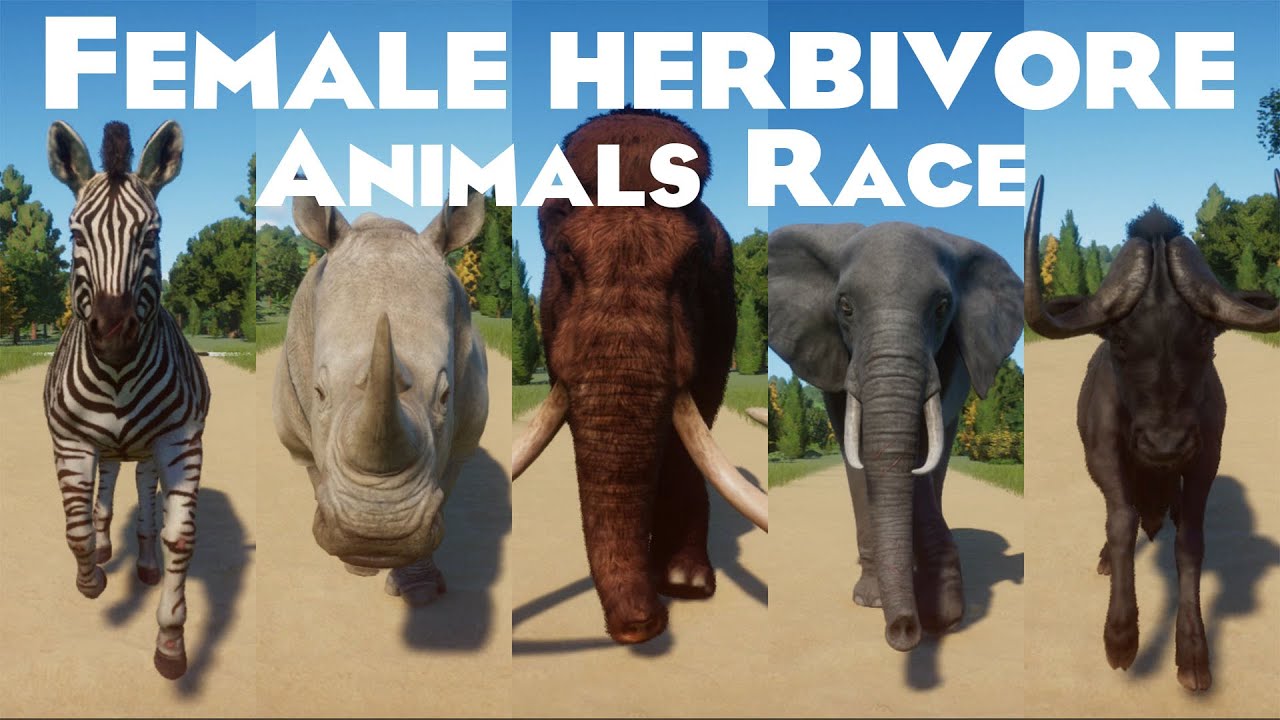 Female Herbivores Animals Races in Planet Zoo included Mammoth, Elephant, Rhino, Wildebeest & etc