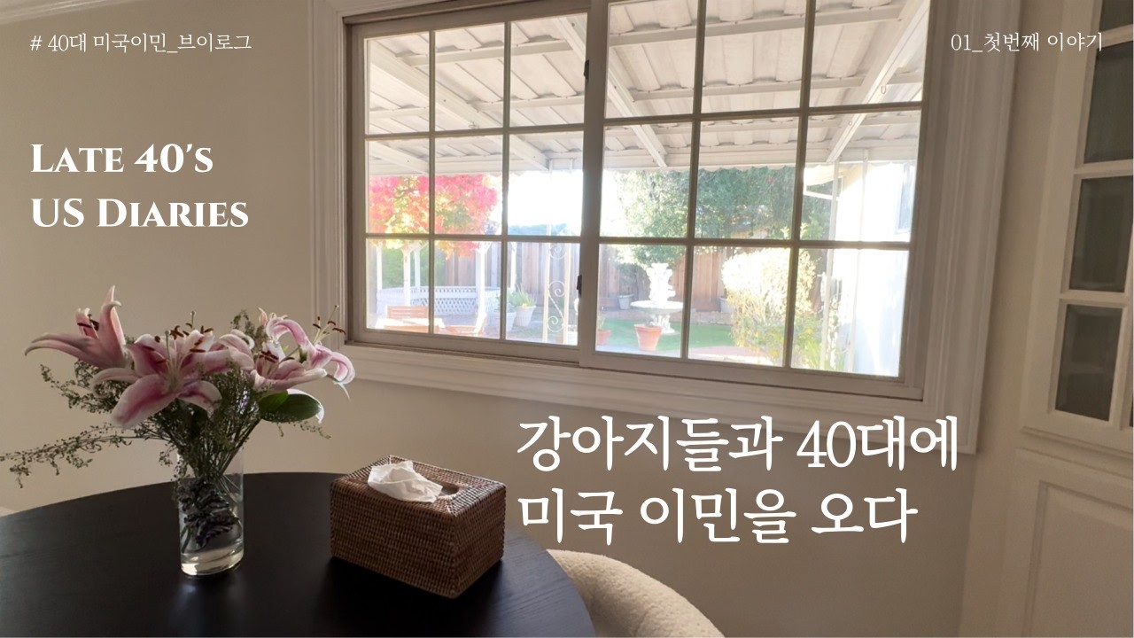 강아지와 적응하는 미국 이민의 첫 일상｜캘리포니아 브이로그  Adjusting to Life in California