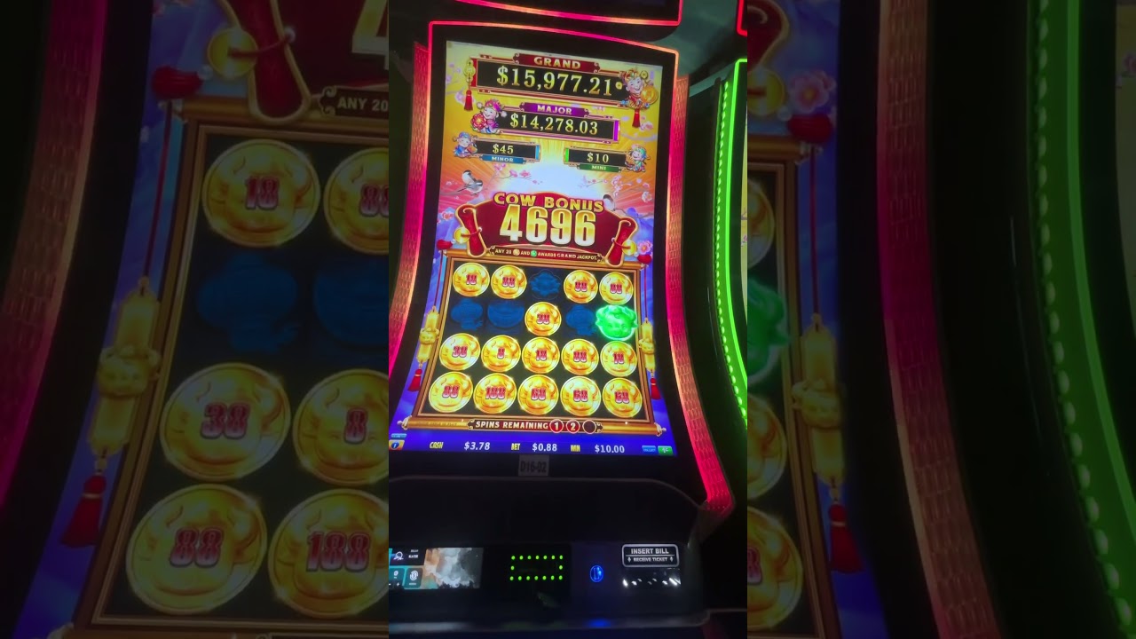 My new favorite bonus feature #slot #cashout #casinogame #bonusfeature #winner #money