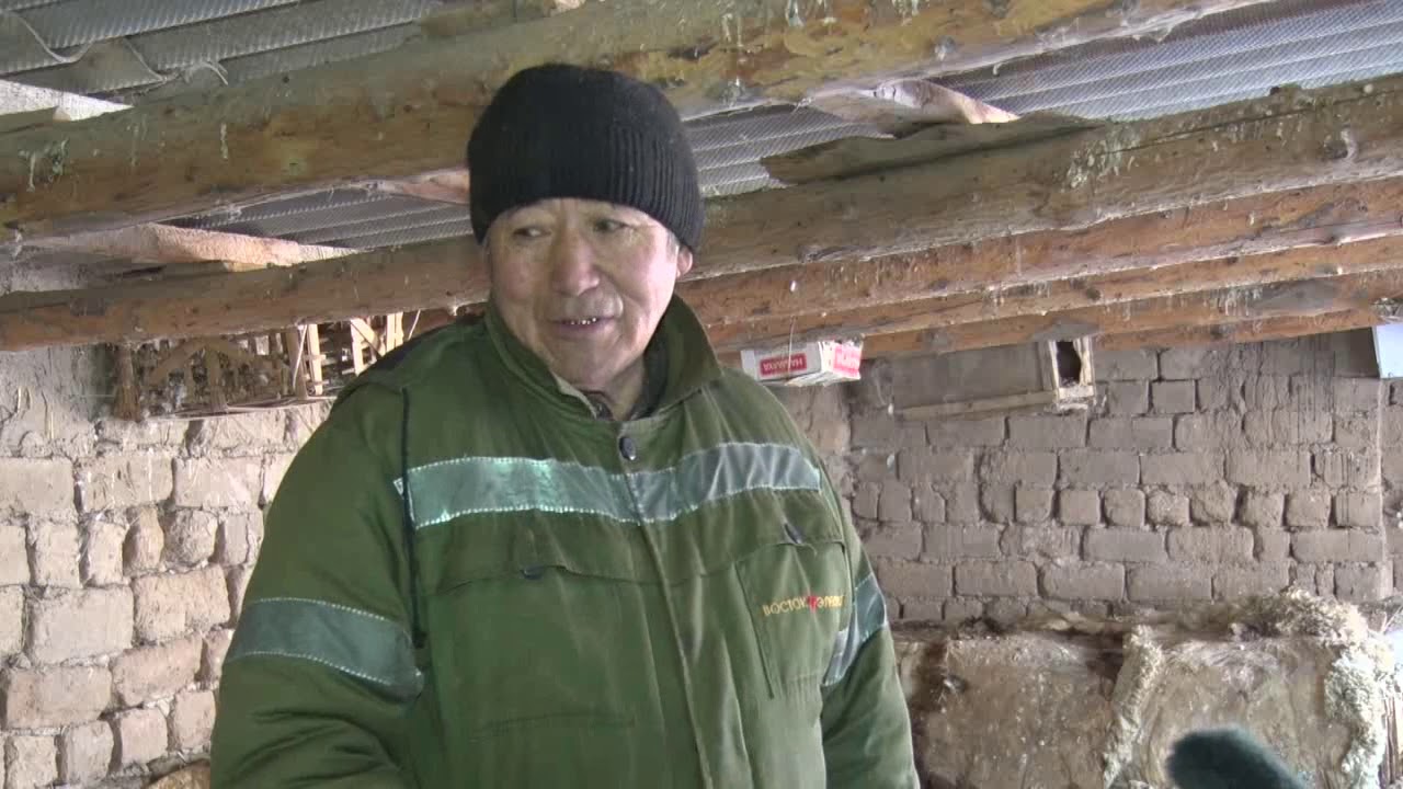 Коён баккан кор болбойт