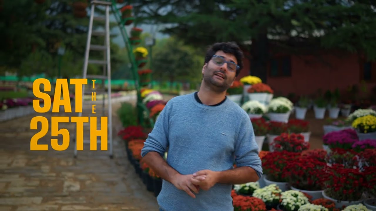 For the first time in Kashmir, the valley witnesses a breathtaking Autumn Flower Bloom  🔥