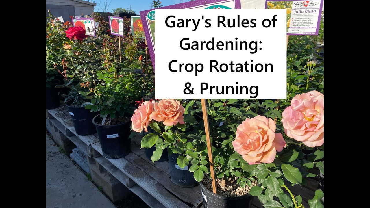 Gary's Rules of Gardening: Crop Rotation & Pruning
