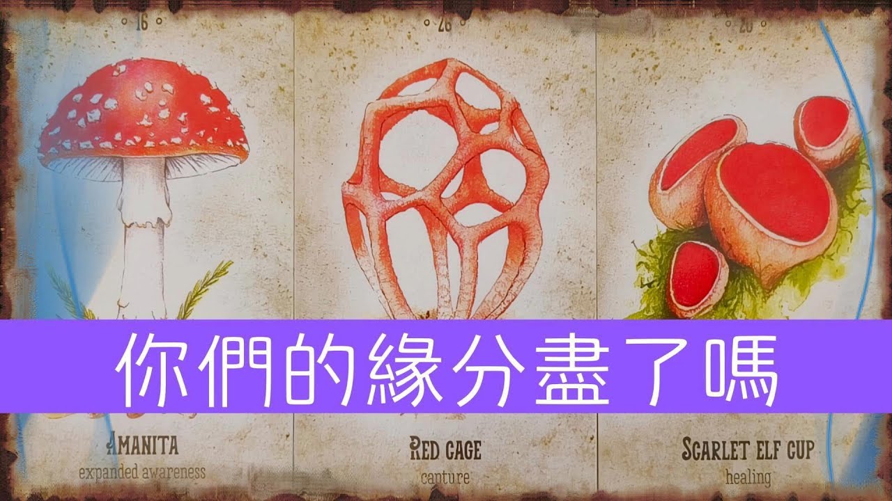 你們的緣分儘了嗎？他是否想放弃了你和這段關系，他還愛你嗎？|斷聯|卡頓|分手|停滯|塔羅占卜