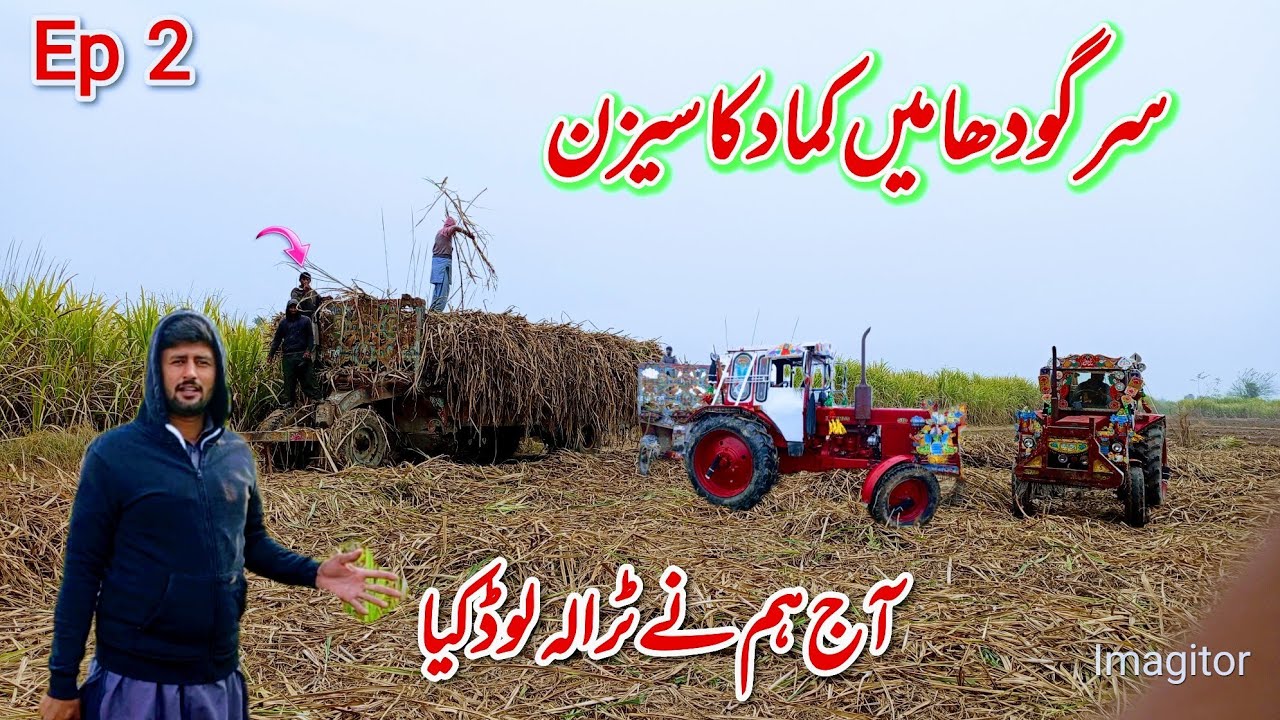 Sargodha me Kamad ka season hm ne trala load kia Episode 2
