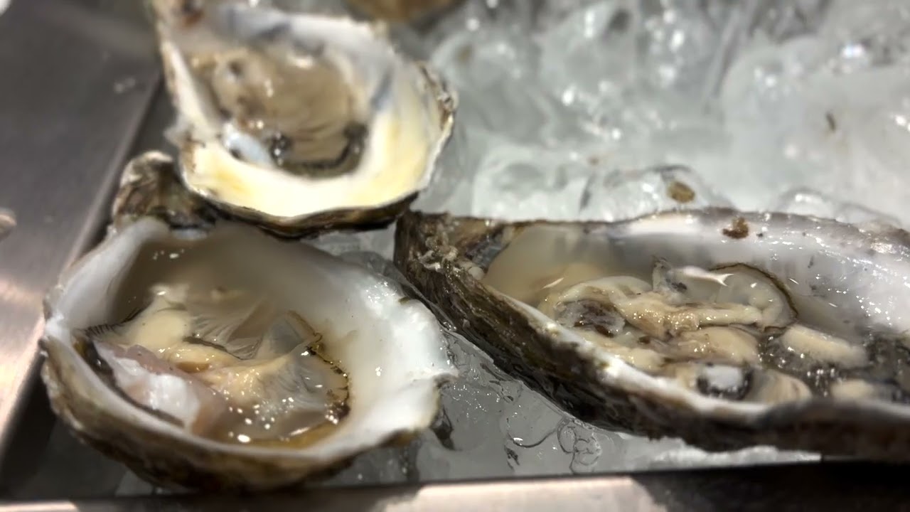 Sylt News. Gastro Messe 2024 erfolgreich gestartet.