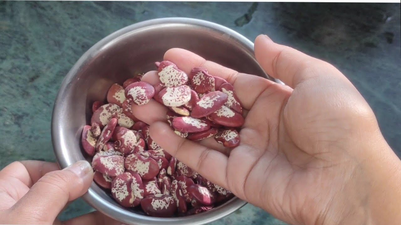 Double beans curry recipe/ काशीवाला ची भाजी | #doublebeans