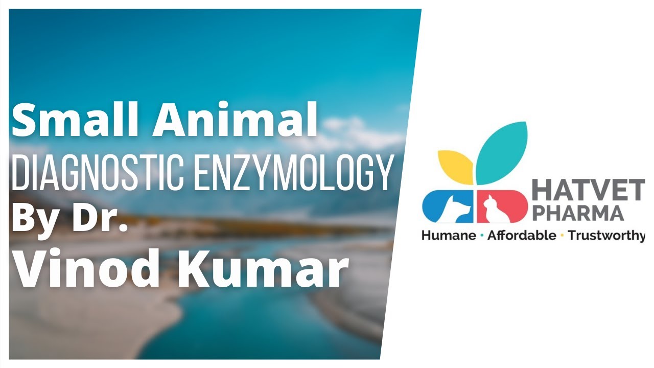 Small Animal Diagnostic Enzymology By Dr. Vinod Kumar