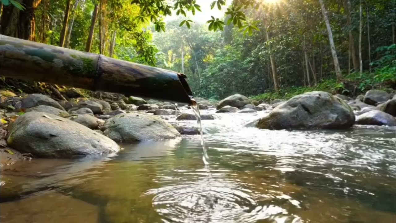 Nature Sounds, Bamboo Water Flow, Sleep Music, Relaxation of Mind & Soul