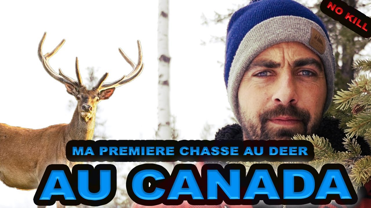 La chasse au Canada  - &agrave; la recherche du white deer 🦌 #nokill