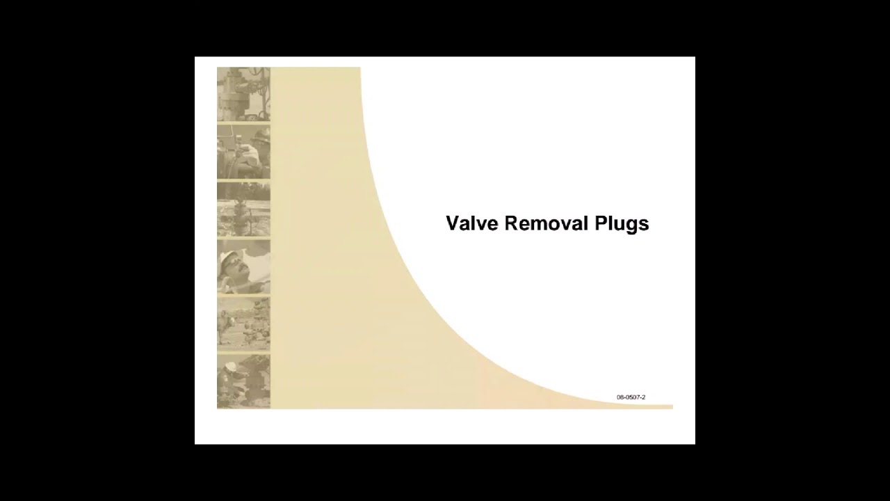 Introduction of the Lubricator VR Plug n 'BPV