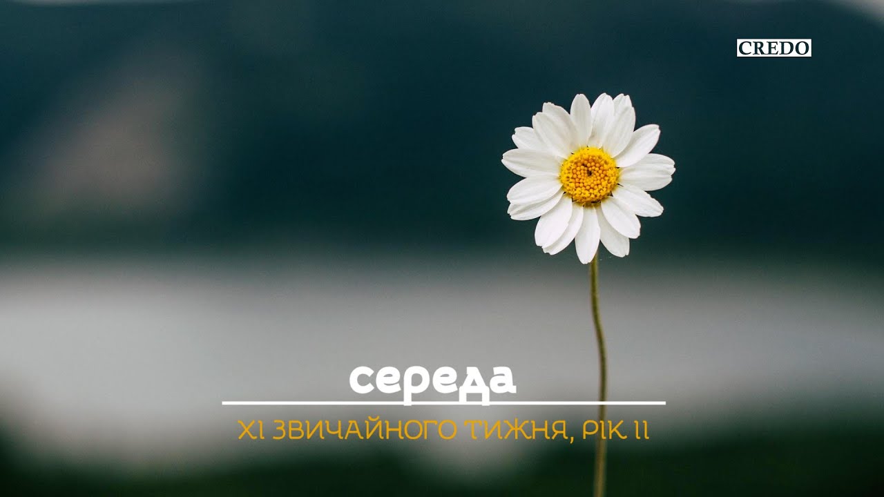 Таємна кімната