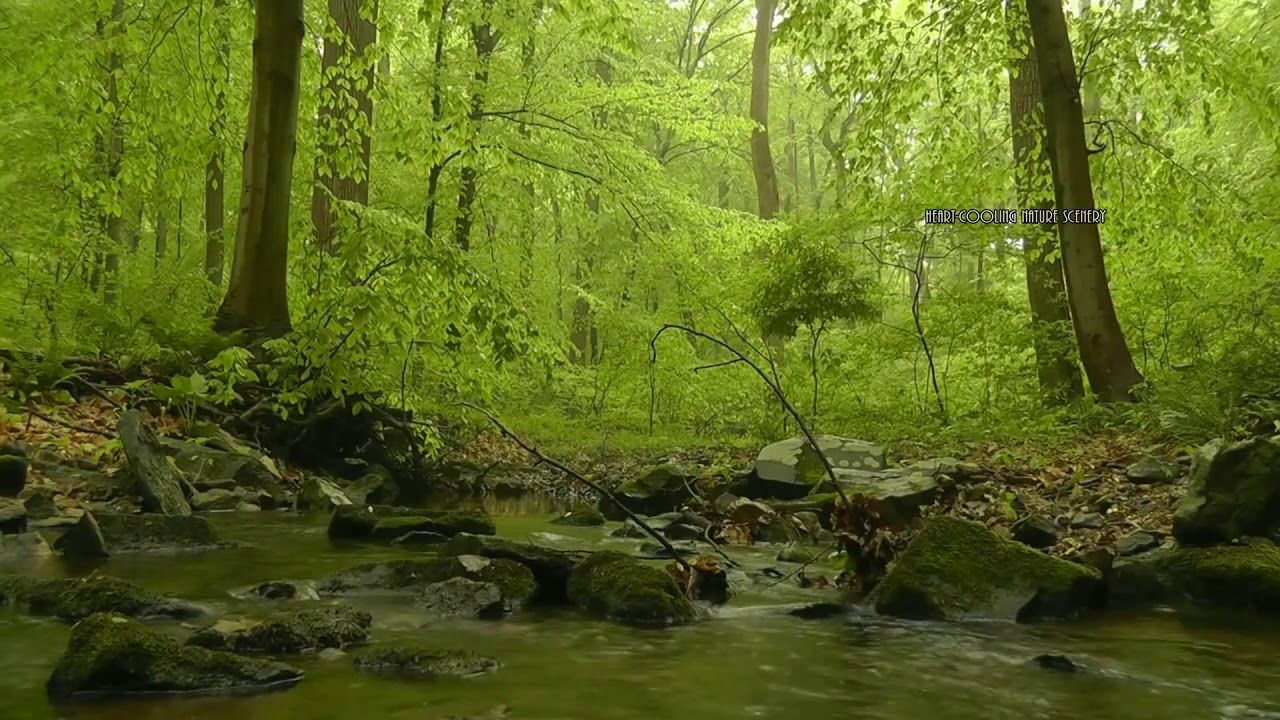 Relaxing Creek-Relaxation -Head to Toe