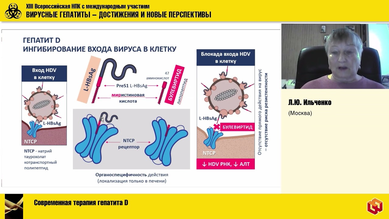 Сессия 6 «Хронический гепатит В и D – клиника и лечение»