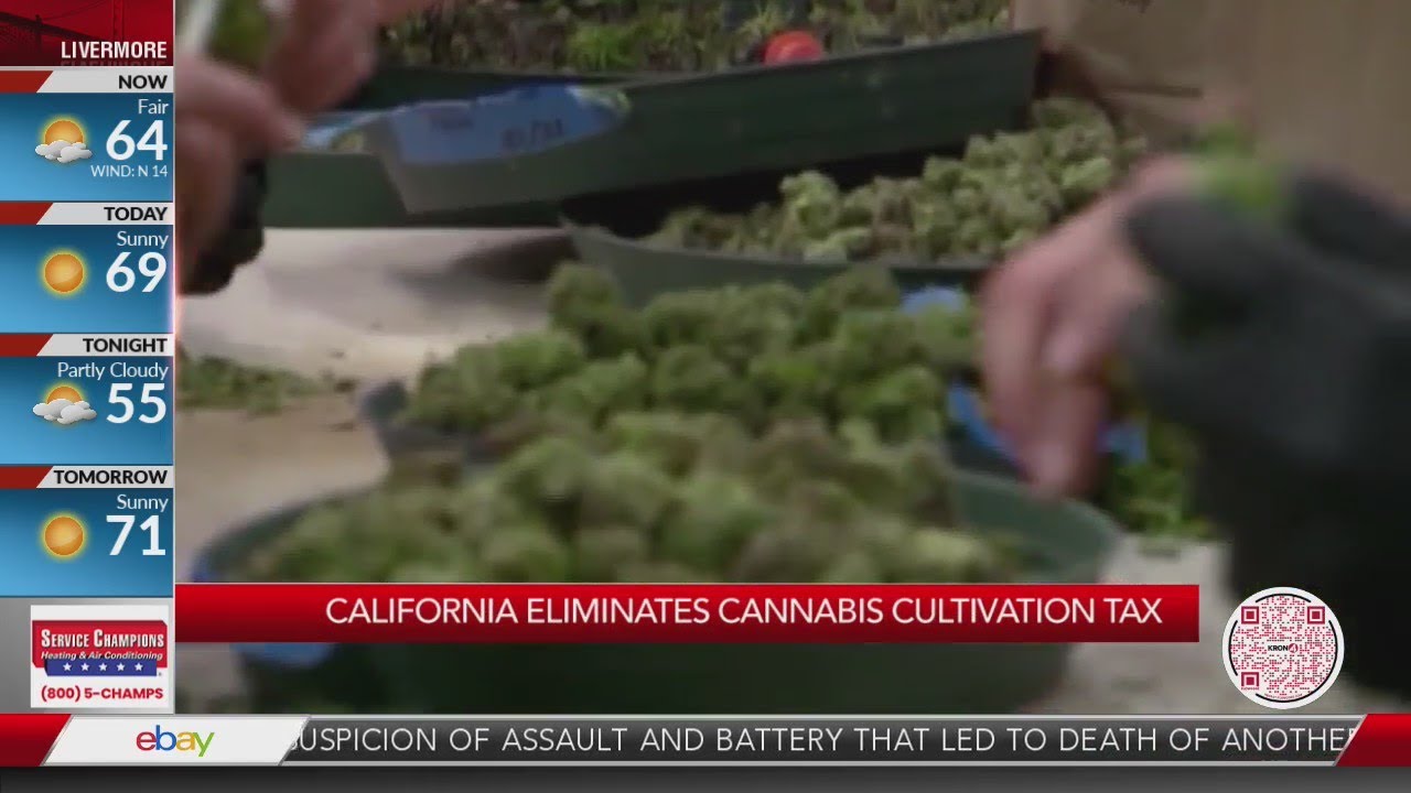 California eliminates cannabis cultivation tax