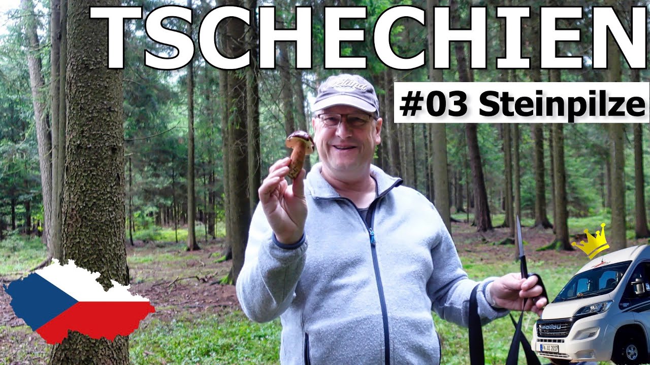 Pilz Eldorado Tschechien, Campingplätze, gutes Essen und Litomyšl