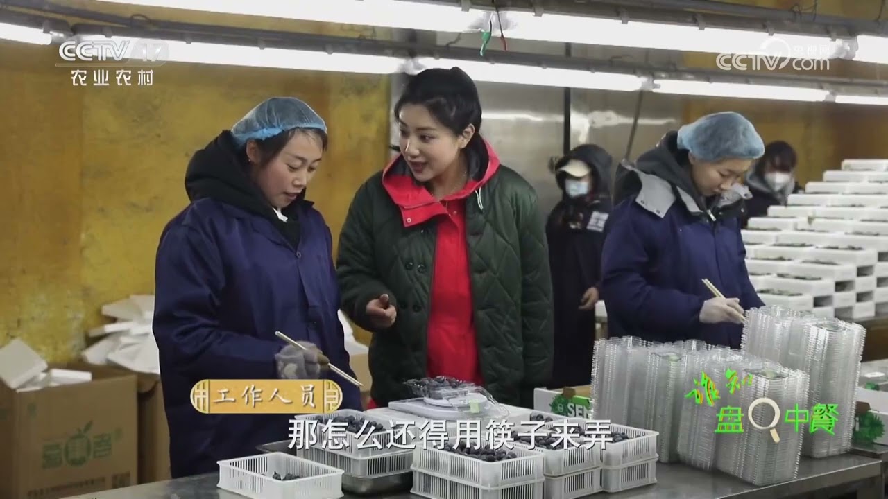 《谁知盘中餐》 20260317 春食纪 春来鲜意浓 | 农业致富经 Agriculture And Farming