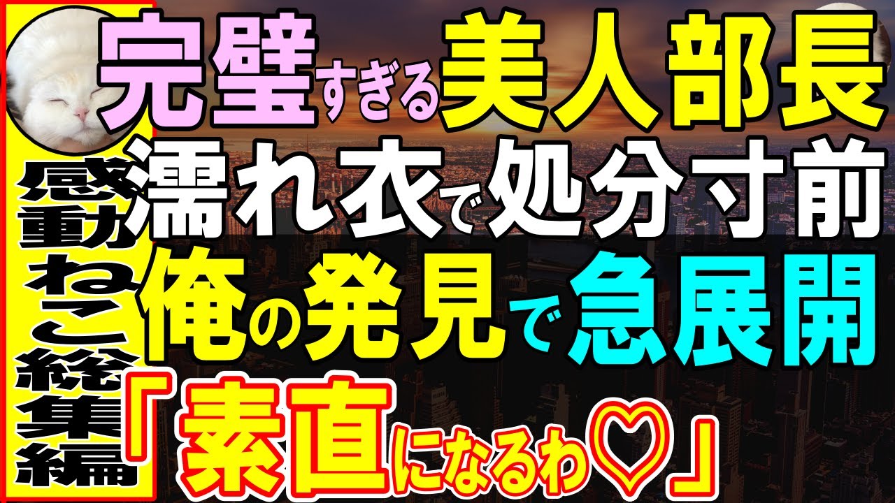 【感動する話】完璧主義の美人部長に叱られ続ける無能な俺が、濡れ衣を着せられた彼女のピンチを救った結果…【いい話・泣ける話・朗読】