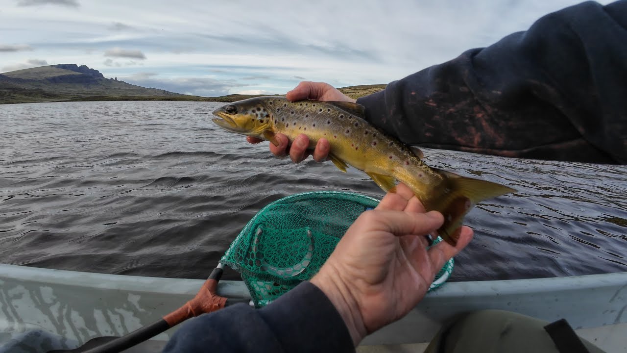 Hectic loch style fly fishing for wild brown trout | May 2025
