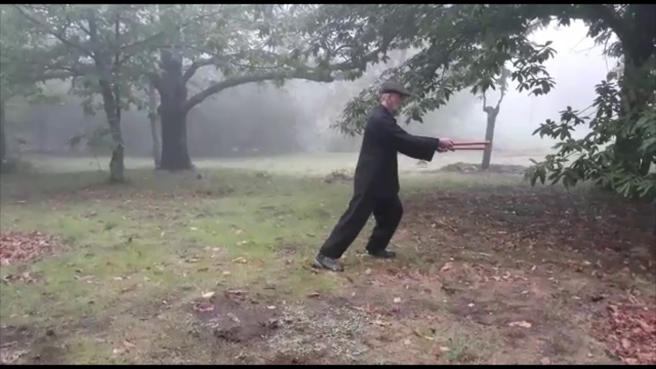 Secuencia de palos cortos. Taichí