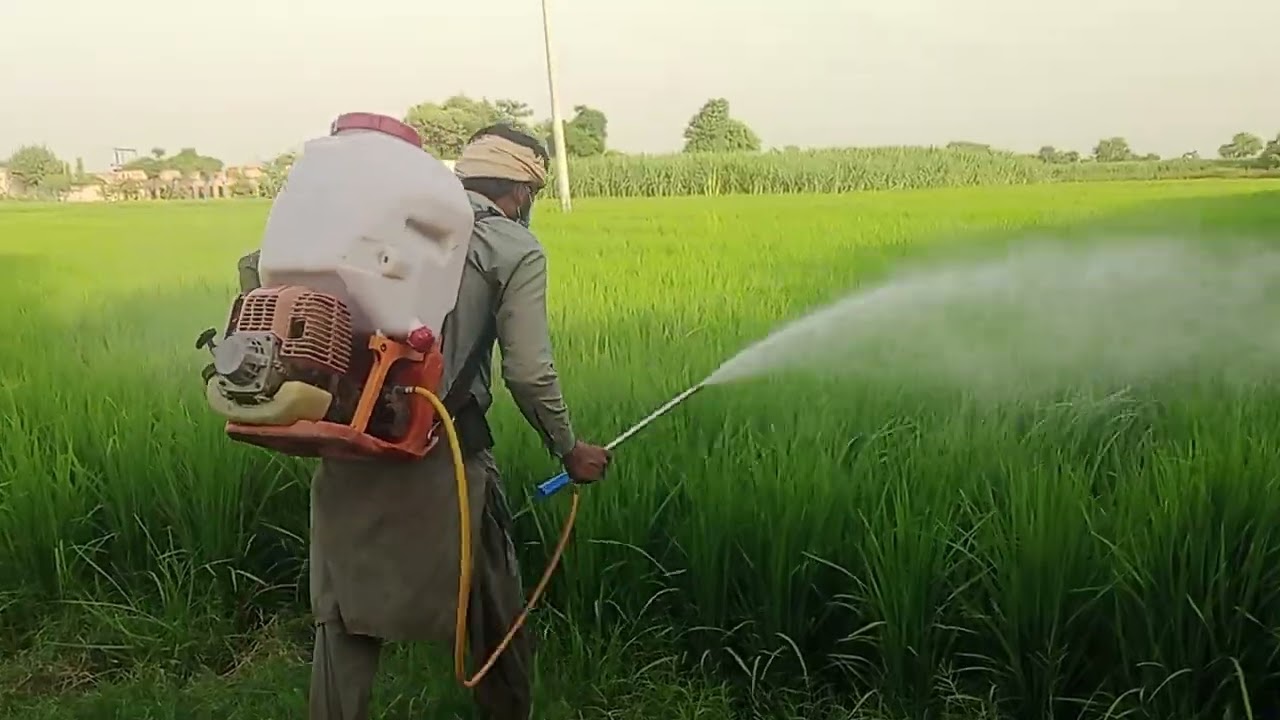 سپرے کرتے ہوئے کمان سے بارلا نکل آیا