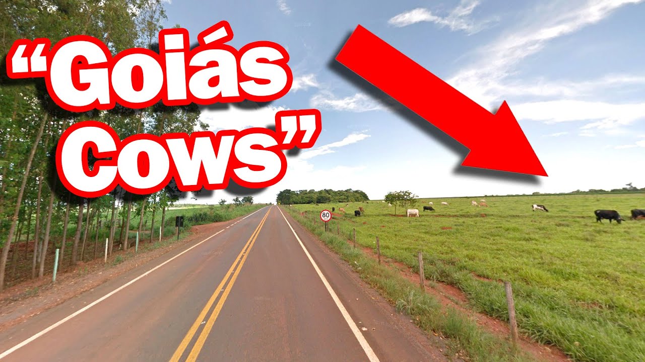 Stique Explains the Most Advanced Geoguessr Meta