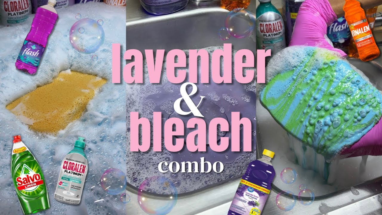Lavender & Bleach Sudsy Combo Sponge ASMR 🪻🤍🫧✨