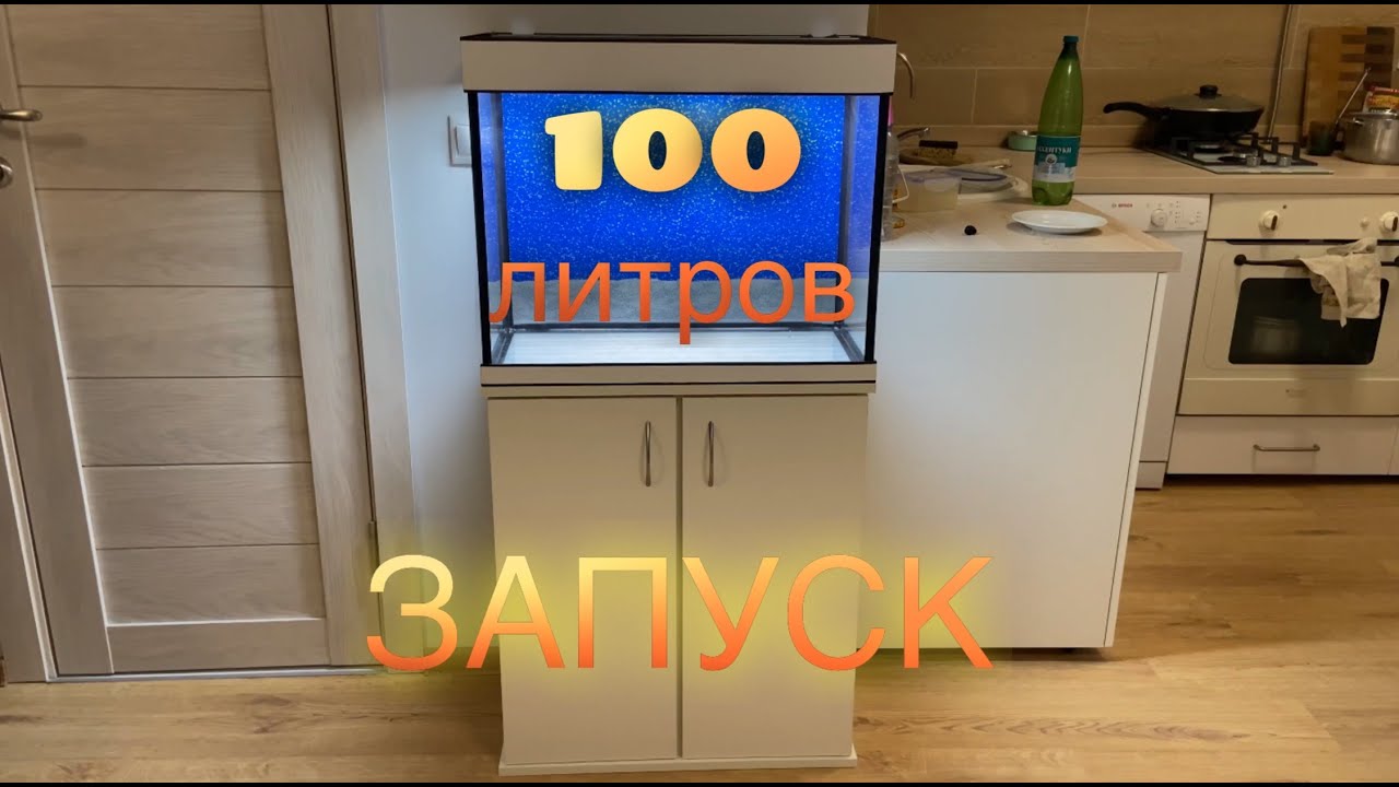 Запуска аквариума на 100 литров