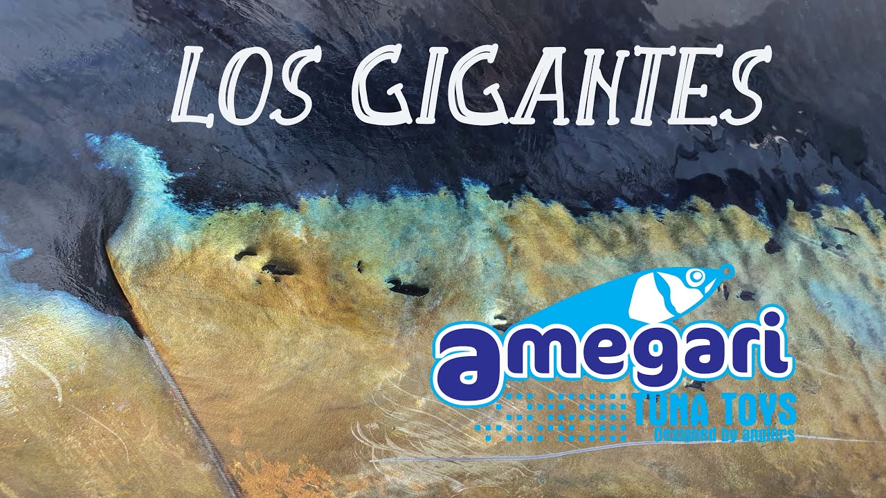 LOS GIGANTES Topwater fishing expedition